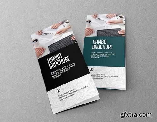 Hambo Trifold Brochure