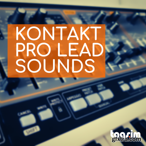 TAQS.IM Kontakt Pro Lead Sounds KONTAKT-DECiBEL