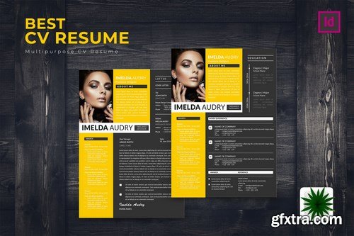 Best CV Resume Template