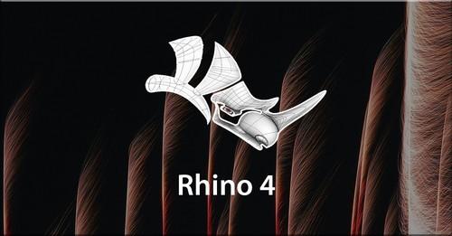 Oreilly - Rhino 4 - 9781618661524