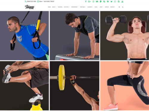 Activities 3 Columns - Fitness WordPress Theme - activities-3-columns-fitness-wordpress-theme