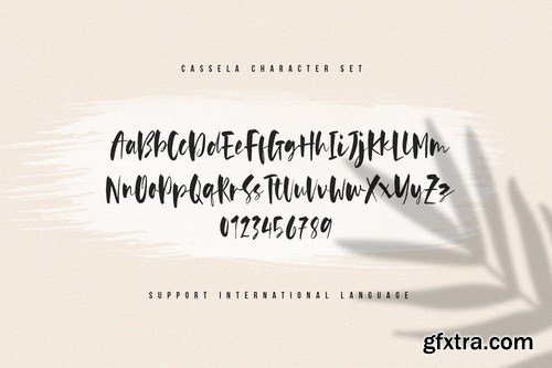 Cassela - The Beauty Script Font