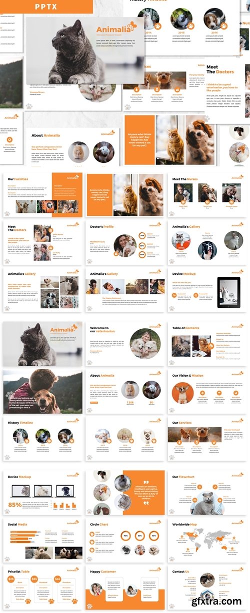 Animalia - Powerpoint Template