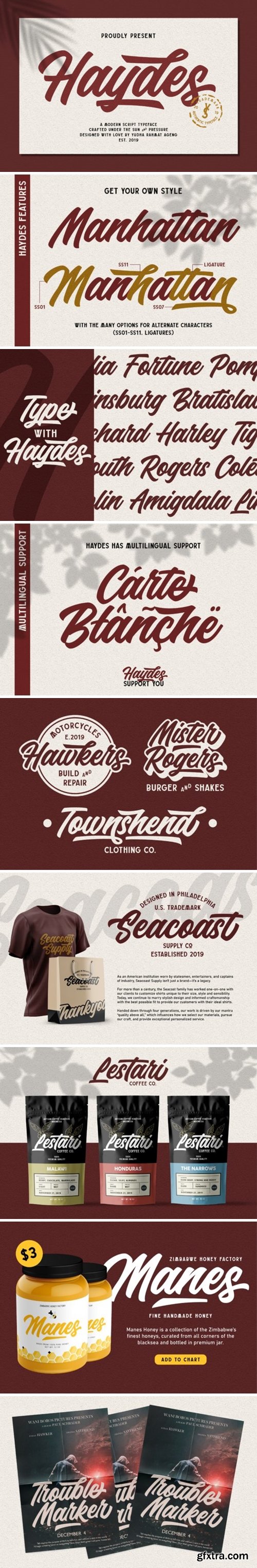 CM - Haydes Script Font + Swash 4359308