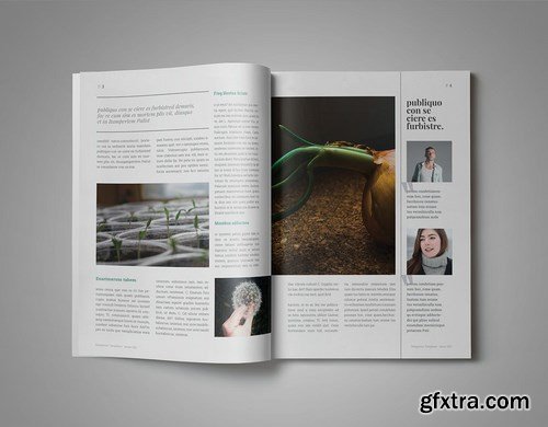 Amelia InDesign Magazine Template