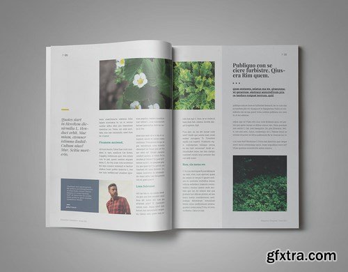 Amelia InDesign Magazine Template