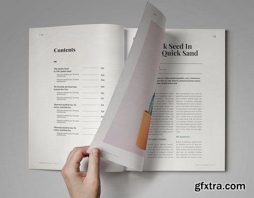 Amelia InDesign Magazine Template