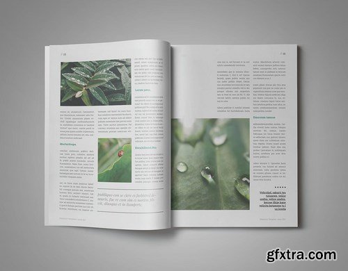 Amelia InDesign Magazine Template