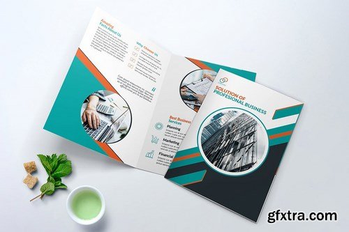 Bifold Brochure