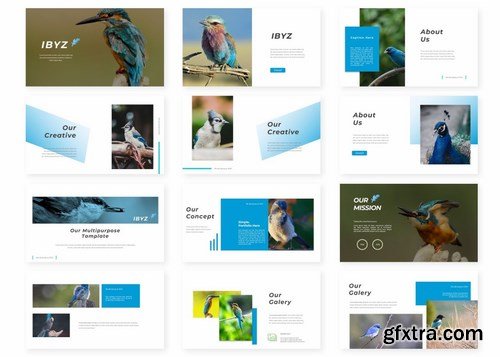 Ibyz - Powerpoint Google Slides and Keynote Templates