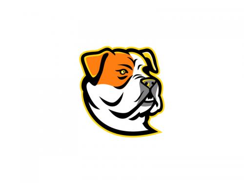 American Bulldog Mascot - american-bulldog-mascot-0568e331-8c76-4faa-9f5f-8aaf4d0eefc1