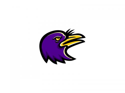 American Crow Head Mascot - american-crow-head-mascot