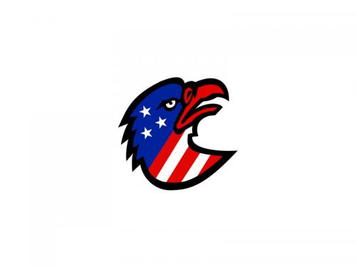 American Flag Inside Eagle Mascot - american-flag-inside-eagle-mascot