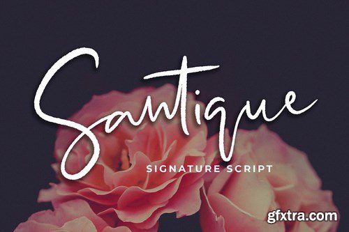 CM - Santique Signature Script Font 4362784