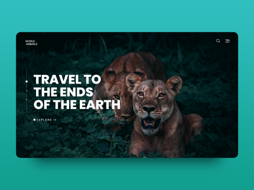 Animal world Website Concept - animal-world-website-concept