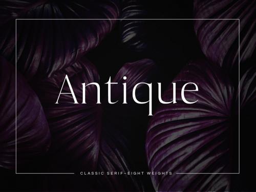 Antique - Luxury Serif Typeface - antique-luxury-serif-typeface