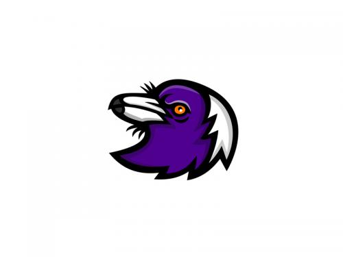 Australian Magpie Head Mascot - australian-magpie-head-mascot