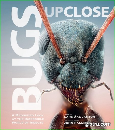 Bugs Up Close: A Magnified Look at the Incredible World of Insects