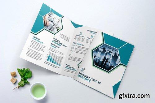 Bifold Brochure