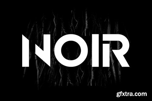 NOIR - Unique &amp; Modern Display Logo Typeface