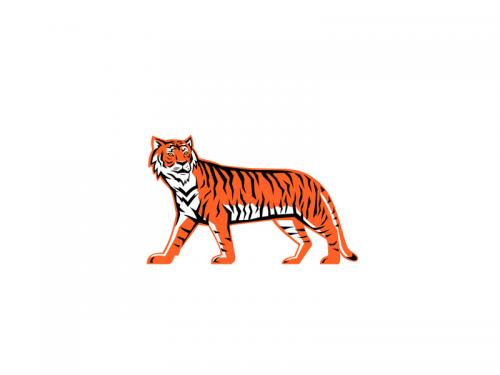 Bengal Tiger Full Body Mascot - bengal-tiger-full-body-mascot