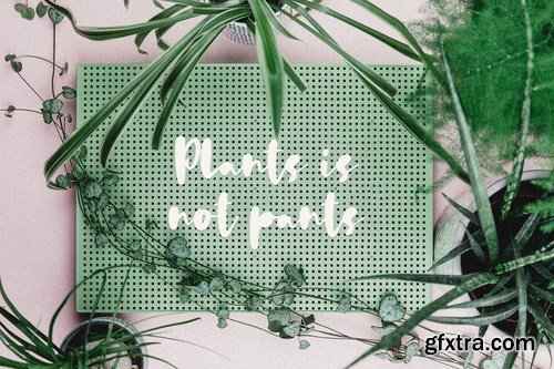 Daun Katuk - The Fresh Cute Font