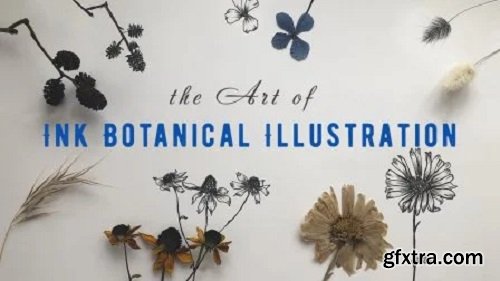 Line Drawing: The Art of Ink Botanical Illustration