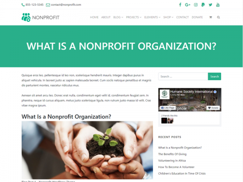 Blog Single Post Page - Nonprofit WordPress Theme - blog-single-post-page-nonprofit-wordpress-theme