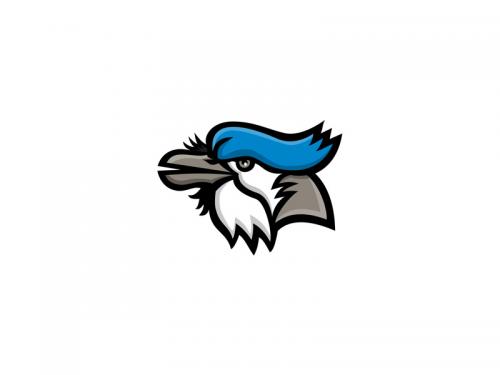 Blue Jay Head Mascot - blue-jay-head-mascot