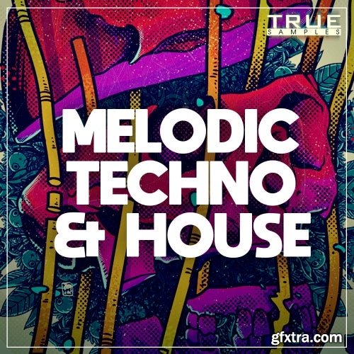 True Samples Melodic Techno & House WAV MIDi Spire