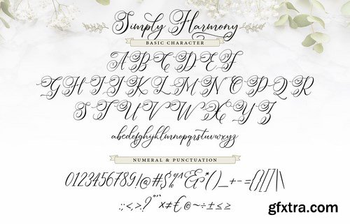 Simply Harmony Stylistic Modern Calligraphy Font