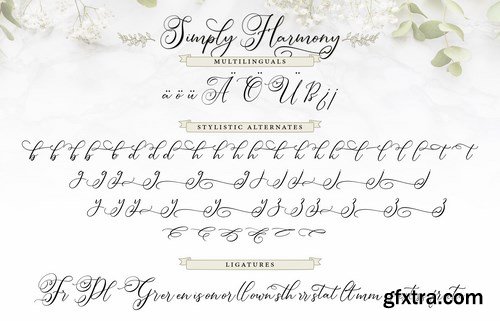 Simply Harmony Stylistic Modern Calligraphy Font