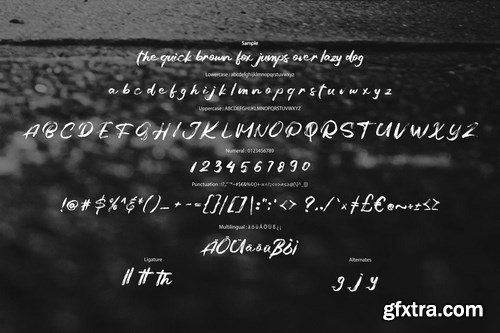 Balges Decorative Brush Script Font