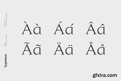 CM - Aureate - A Sophisticated Serif 4379889