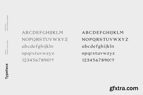 CM - Aureate - A Sophisticated Serif 4379889