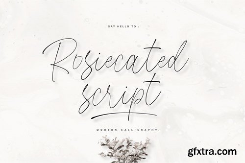 CM - Rosiecated Script 4308322