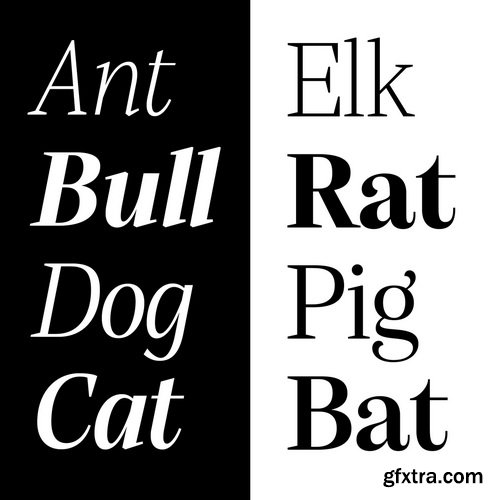 Alga Font Family