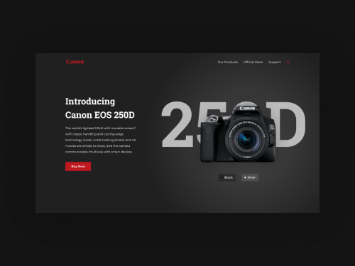 Canon Web Design Concept - canon-web-design-concept