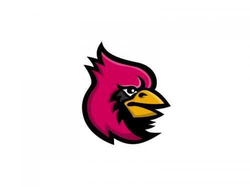 Cardinal Bird Head Mascot - cardinal-bird-head-mascot