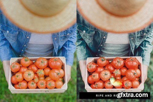 50 Bountiful Garden Lightroom Presets and LUTs