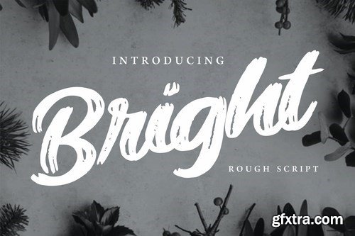 Bright Modern Rough Script Font