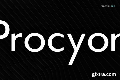 CM - Procyon - Modern Typeface + WebFont 4394713