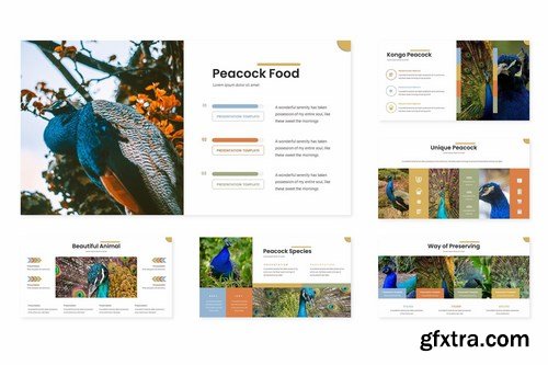 Peacock Bird - Powerpoint Google Slides and Keynote Templates