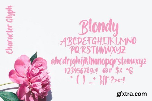 Blondy Font