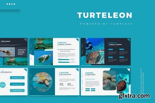 Turtlelon - Powerpoint Google Slides and Keynote Templates