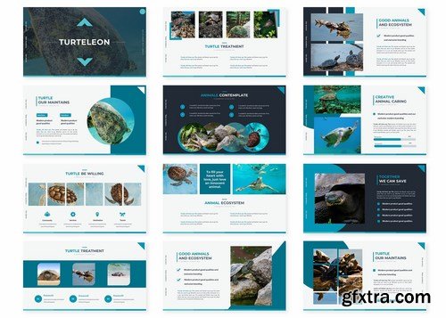 Turtlelon - Powerpoint Google Slides and Keynote Templates