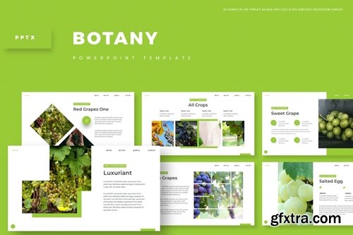 Botany Powerpoint, Keynote and Google Slides Templates