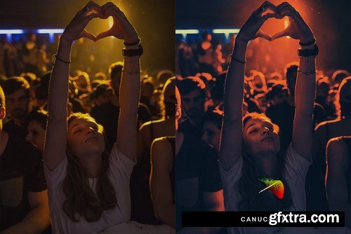 50 Concert Lightroom Presets LUTs