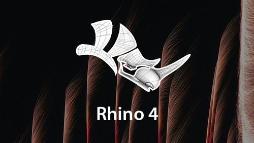 Oreilly - Rhino 4 - 9781618660084