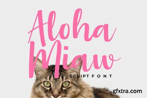 CM - Aloha MiawScript Font 4405496